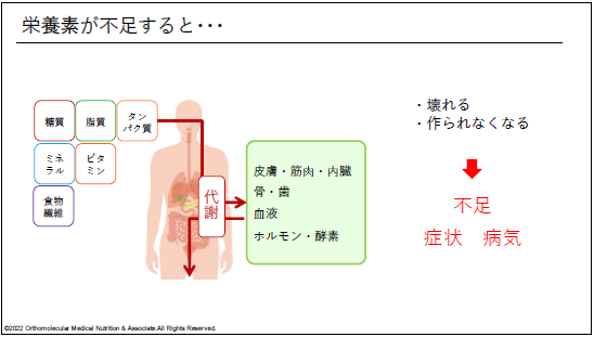 栄養素の説明図①