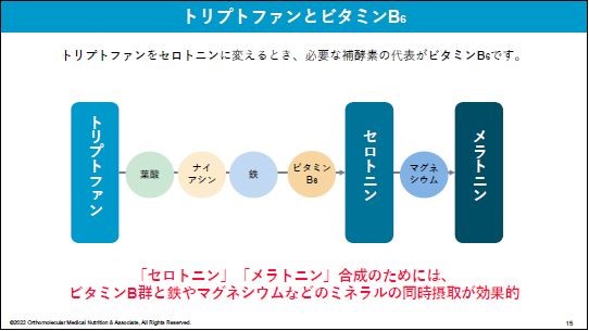 トリプトファンとビタミン説明図