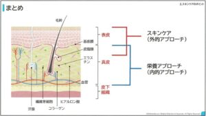 内的外的アプローチ