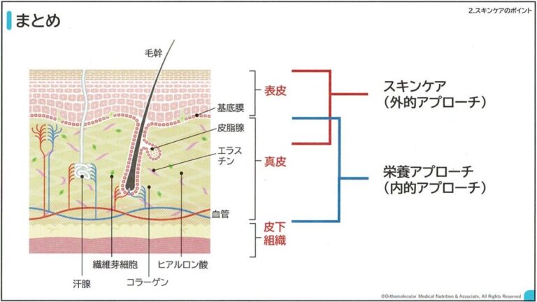 内的外的アプローチ